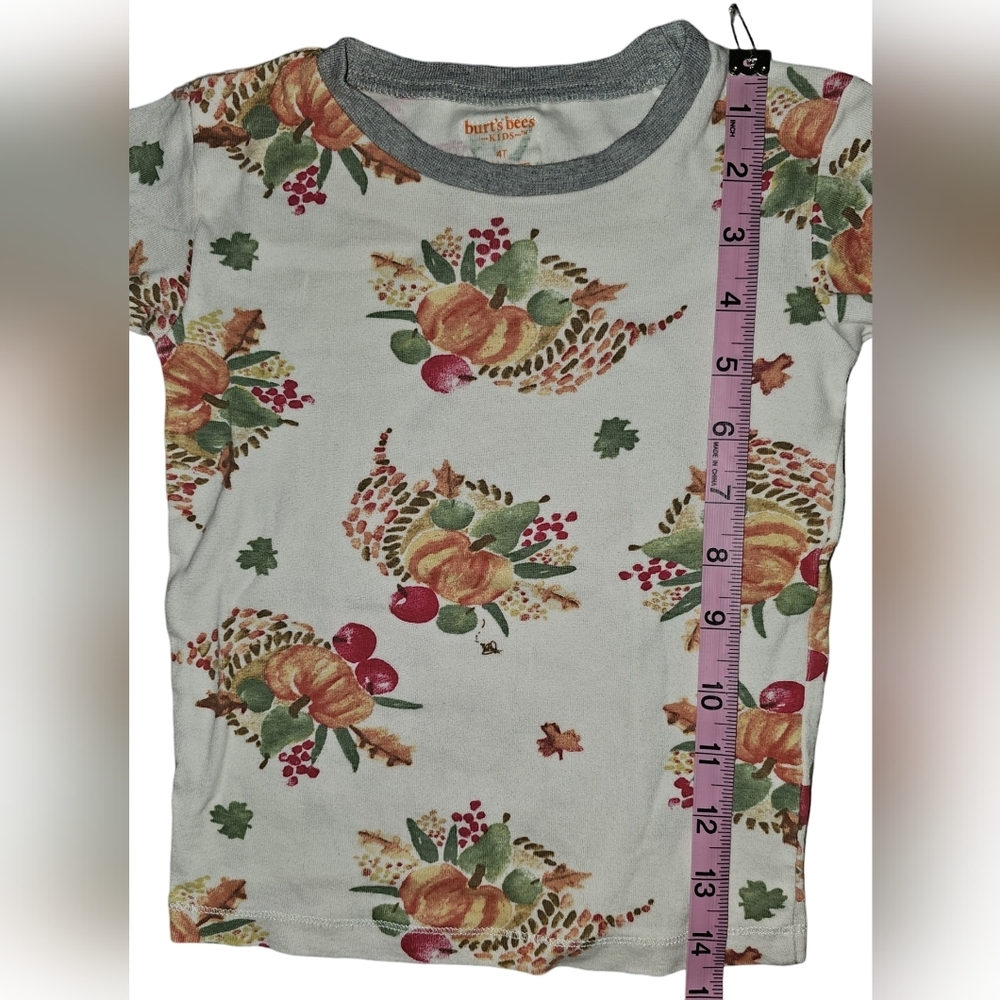 Burt’s Bees Kids Organic Cotton Pajama Set Thanksgiving Fall Pumpkin Harvest 4T - Picture 9 of 16